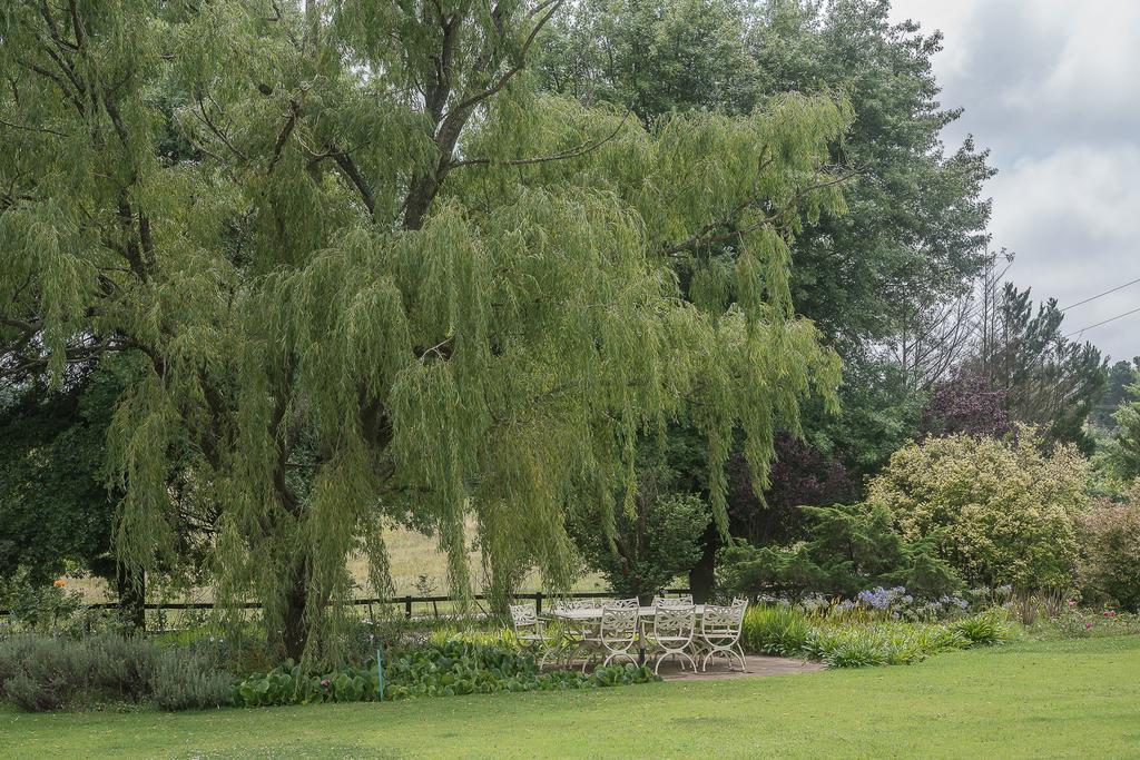 Glen Ormond Country House Henburg Park Exterior foto