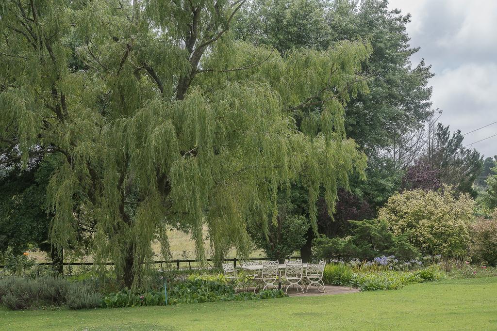 Hotel Glen Ormond Country House Henburg Park Exterior foto