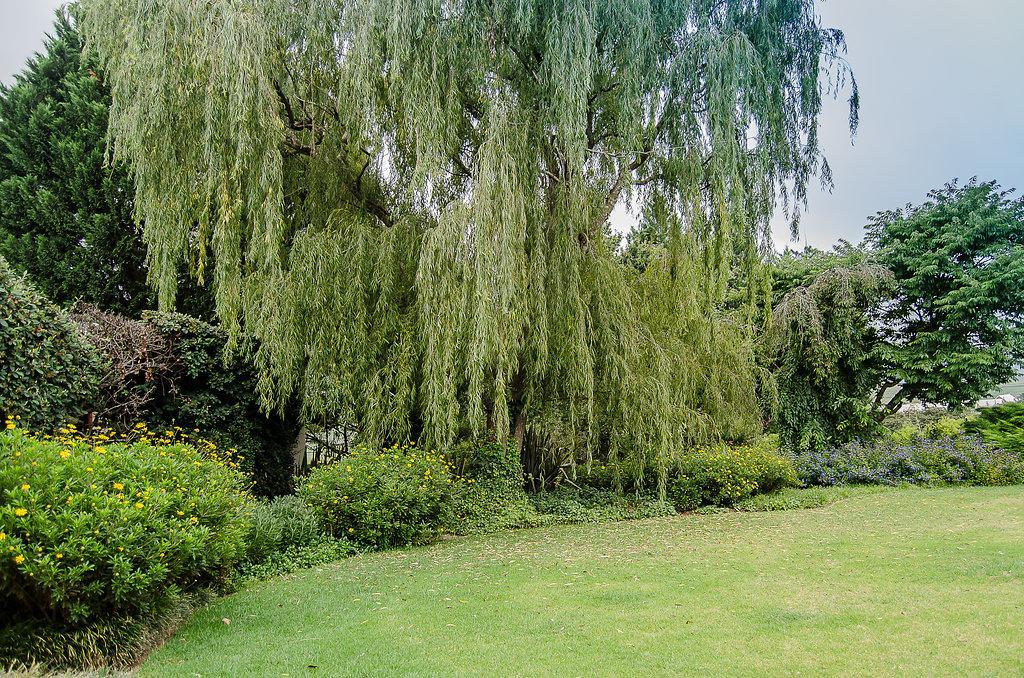 Hotel Glen Ormond Country House Henburg Park Exterior foto