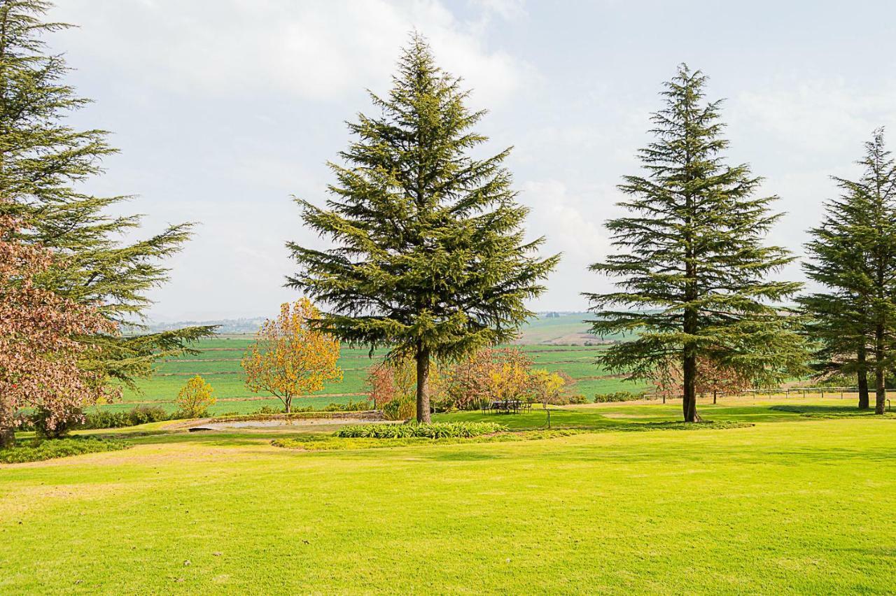 Hotel Glen Ormond Country House Henburg Park Exterior foto